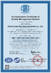 China China Chips Star Semiconductor Co., Ltd. Certificações